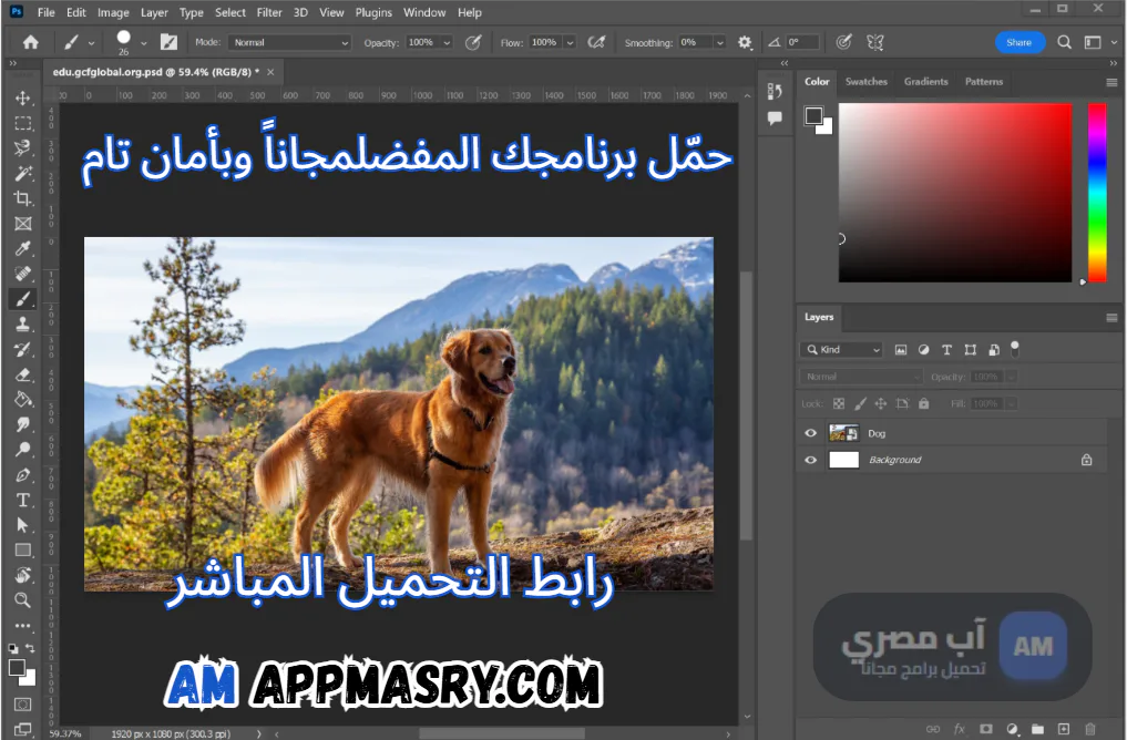 photoshop download